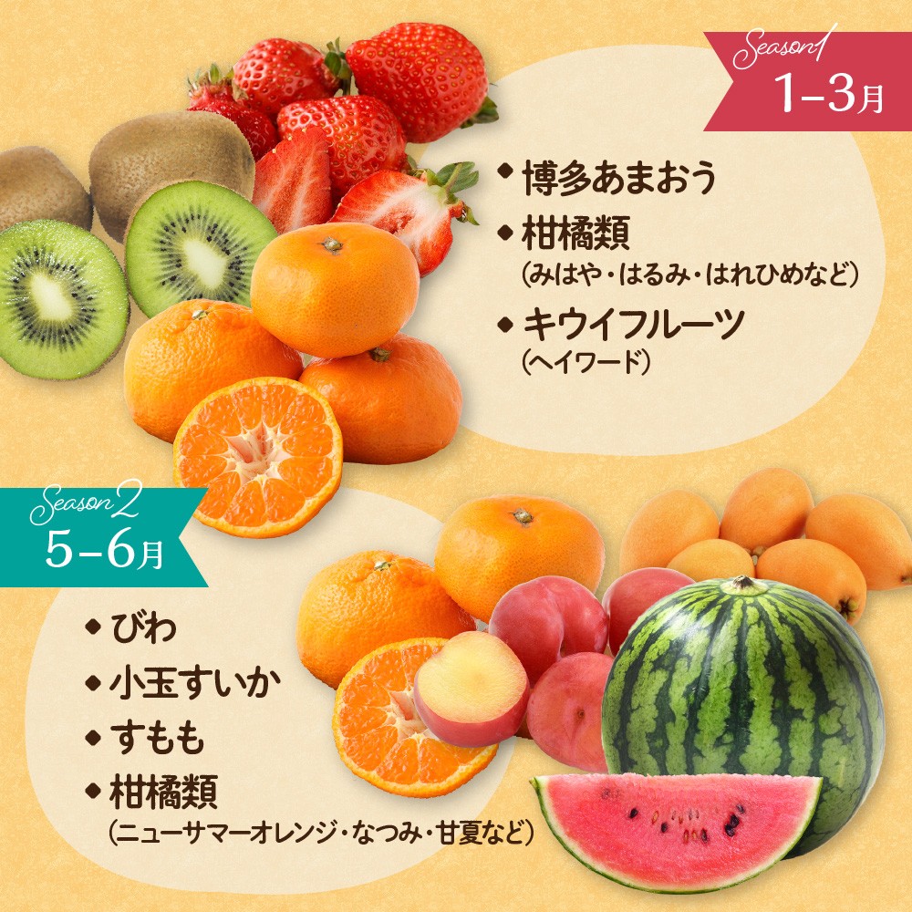 何が届くかお楽しみ！むなかた旬のフルーツ福袋定期便【年4回】
