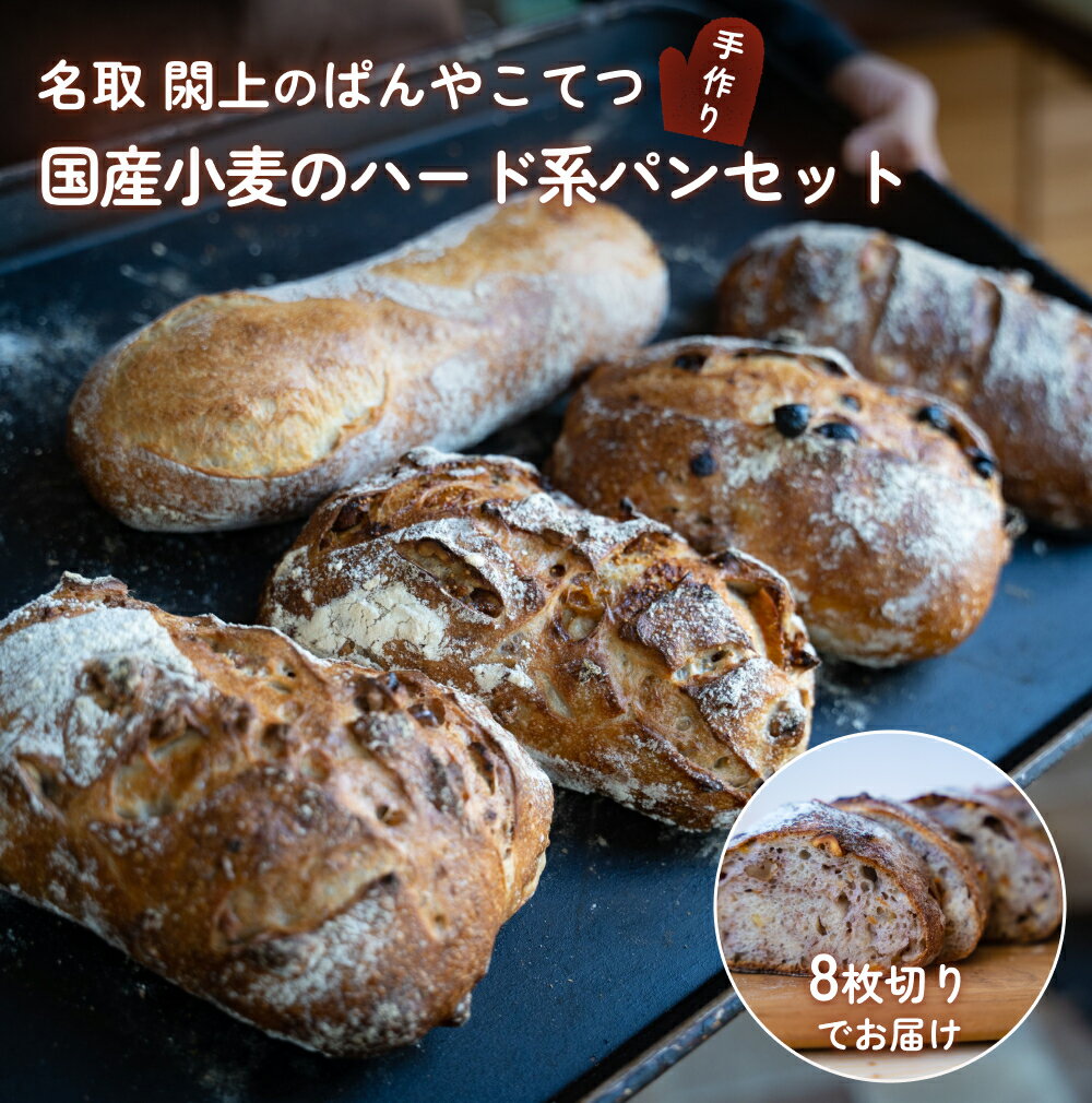 【ふるさと納税】ぱんやこてつ 手作り 国産小麦のハード系パンセット 8枚カットしてお届け
