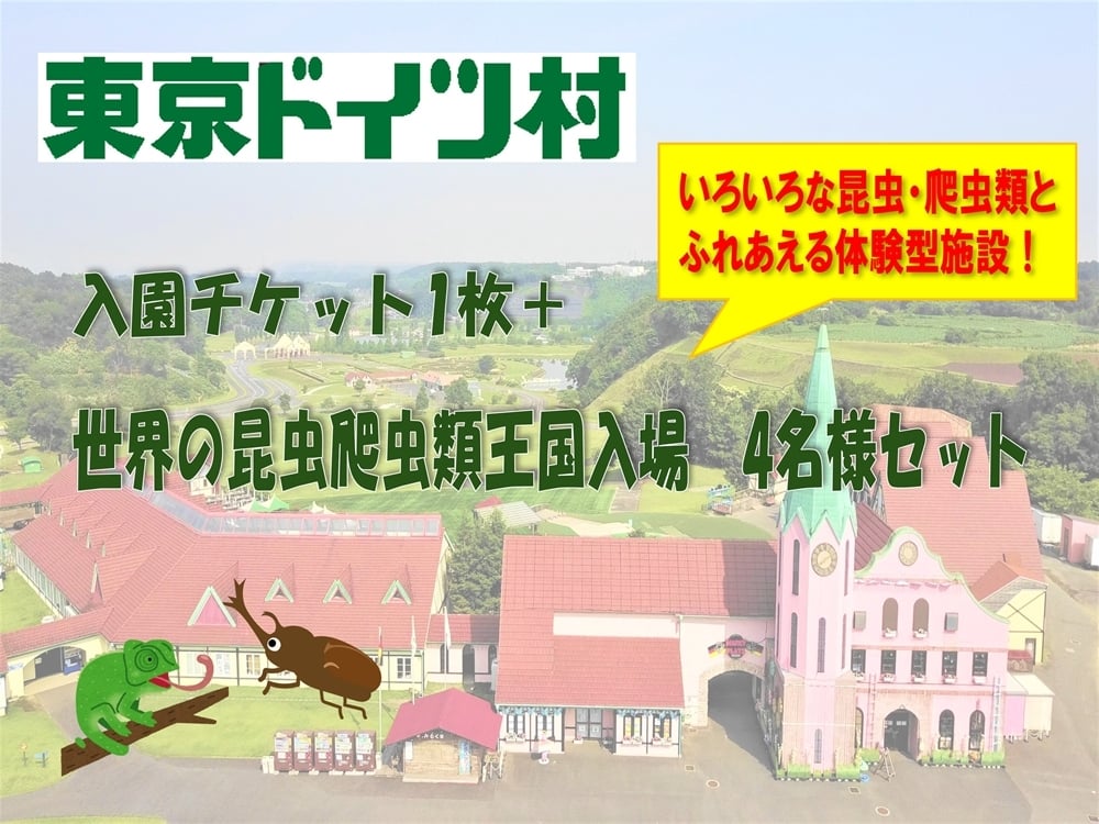 
            東京ドイツ村 入園チケット 1枚＋世界の昆虫爬虫類王国 1日入場引換券 4名様分｜旅行 観光 日帰り 泊り あそぶ 立ち寄り スポット デーマパーク レジャー チケット 見どころ アクアライン 房総 千葉 [0604]
          