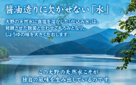 越前おおの　特吟醸しょうゆ 3本セット(1L×3) 計3L [A-040009]