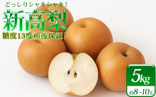 梨　小山農園の新高梨　5kg　糖度13度前後保証　| なし ナシ 新高 にいたか 白岡の梨 白岡美人 埼玉県 白岡市