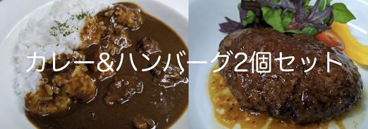 
カレー・ハンバーグ2個セット
