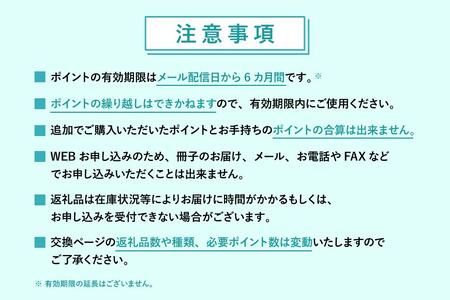 あとから選べるWEBカタログギフト（寄附10万円コース）30000ポイント宮古島市（JO002）