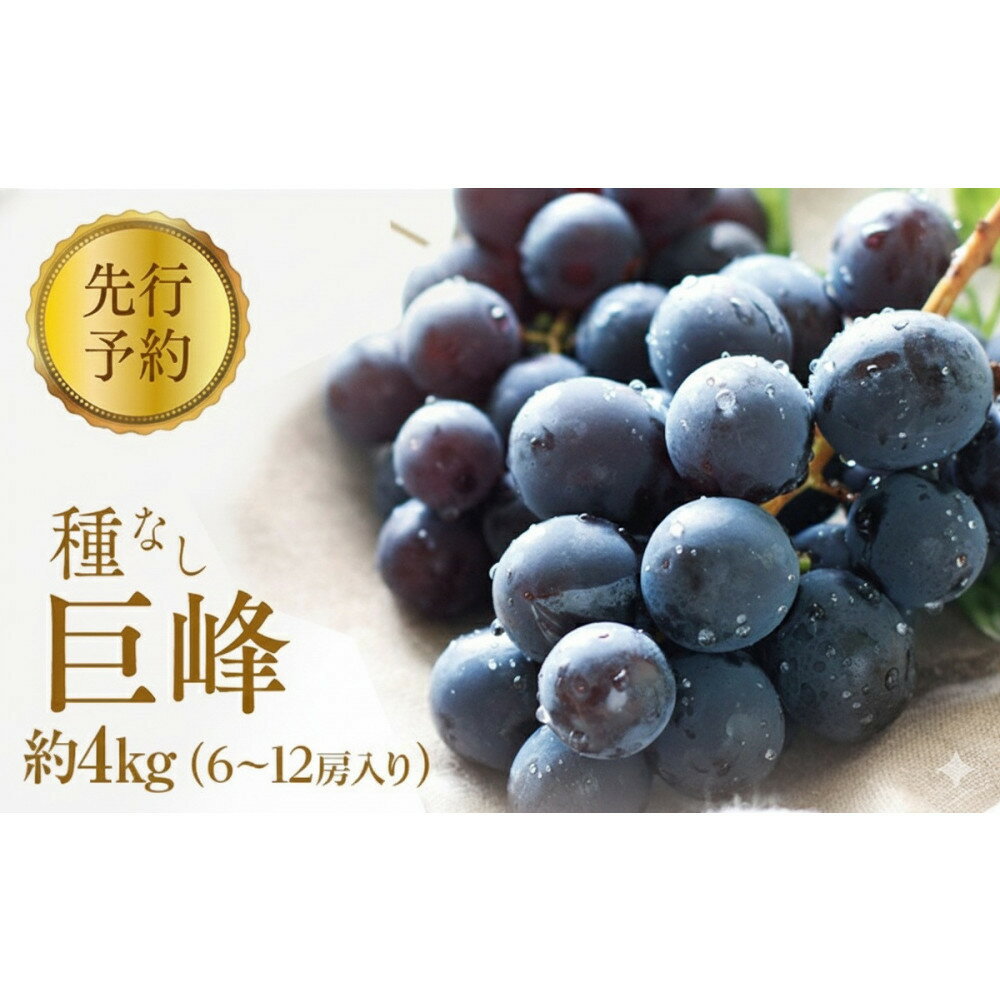 【ふるさと納税】2026年産ぶどう 種なし 巨峰 約4kg 6～12房入り 果物 ブドウ 葡萄 フルーツ デザート おやつ 信州 2026年秋発送 | 果物 フルーツ デザート ぶどう 種なし 人気 おすすめ 長野 信州 ふるさと納税