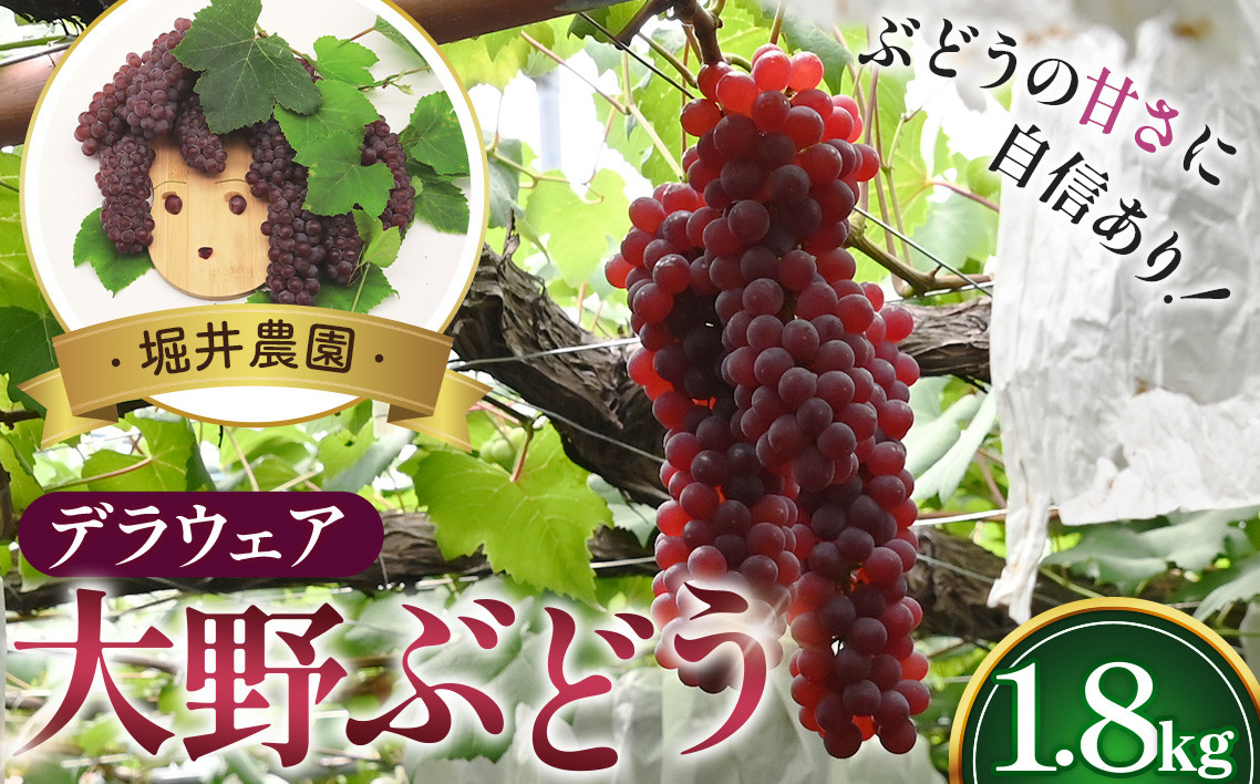 
                  【口コミで広まった格別の甘さ】堀井農園大野ぶどう（デラウェア）1.8kg ／ 葡萄 ブドウ 高糖度 大阪府 特産品 No.252
                