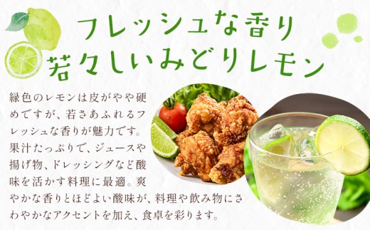 レモン 訳あり 緑色 檸檬 3kg (1kgあたり5-12玉前後) 株式会社農業福祉研究機構《10月上旬-11月上旬頃出荷》和歌山県 紀の川市 フルーツ 果物 お取り寄せフルーツ