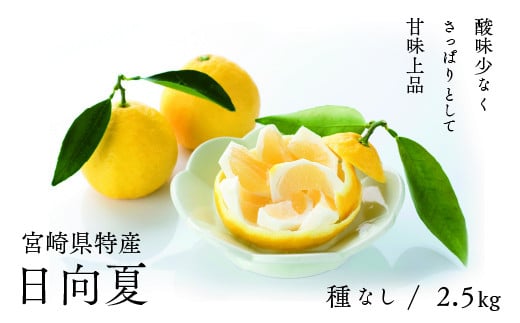 
            初春の旬「日向夏」種なし ２.５kg
          