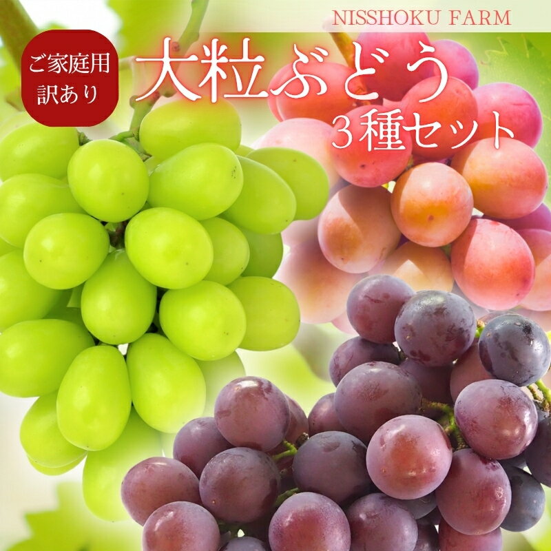 【ふるさと納税】 NISSHOKU FARM ご家庭用 大粒ぶどう3種セット 岡山 訳あり / ぶどう ブドウ 葡萄 先行予約 フルーツ 果物 特選 大粒サイズ 真庭市 フルーツ王国
