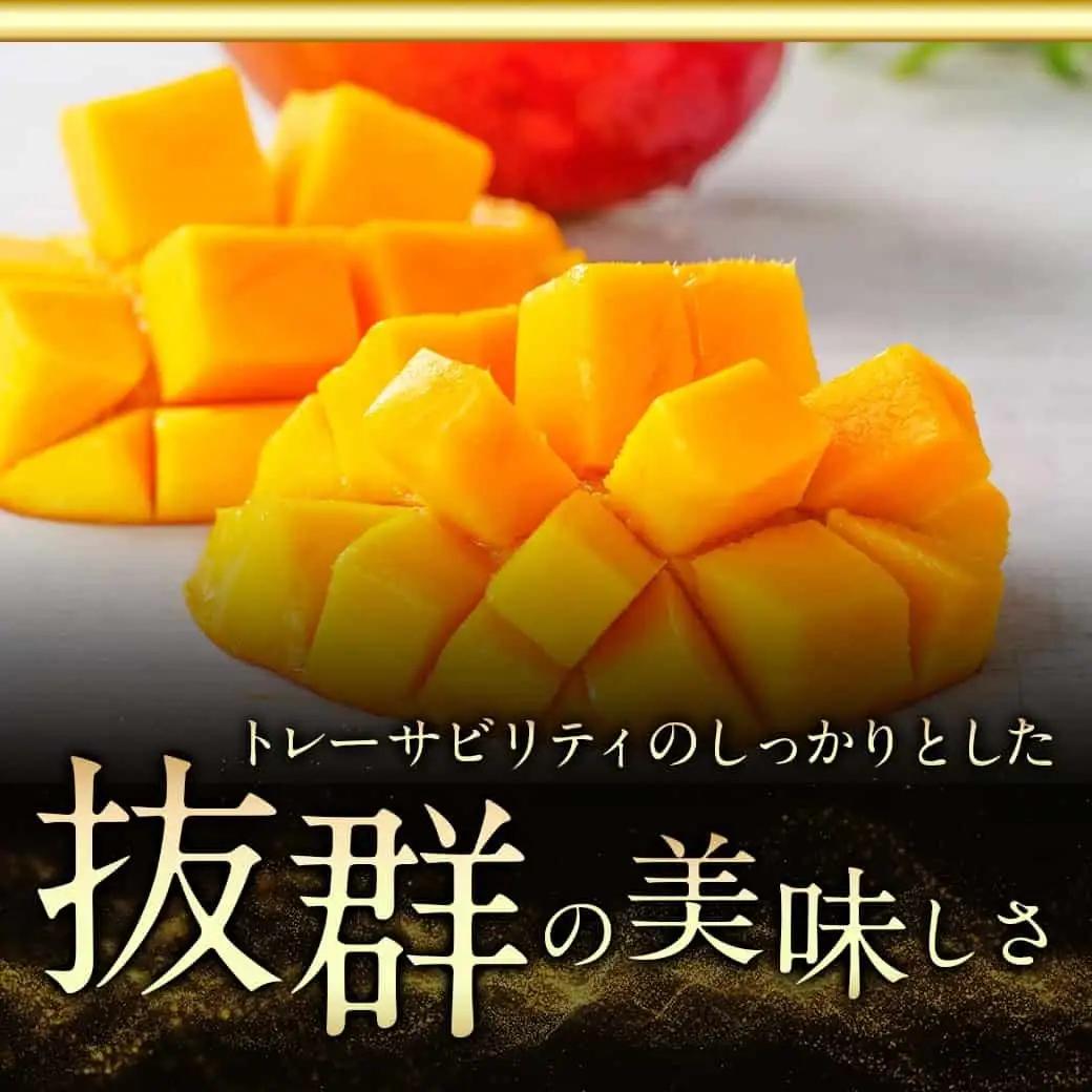宮崎県産完熟マンゴー(A等級) 【2L以上×2玉】〔22-0101〕_(都城市) 宮崎県産 完熟マンゴー 化粧箱入り 2Lサイズ 糖度13度以上 A等級品 南国宮崎