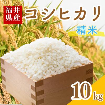 ふるさと納税 小浜市 【令和7年産】福井県産こしひかり白米10kg