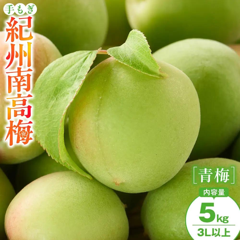手もぎ 青梅 南高梅 5kg 大粒 3Lサイズ 以上 谷本農園
