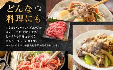 ちょっとリッチな飛騨牛（希少部位）約1.2kg 【3月・6月・9月・12月発送】定期便 4回 | みすじ ウデ すき焼き しゃぶしゃぶ  希少部位 300g 和牛 国産牛 冷凍 飛騨高山 飛騨牛のこも