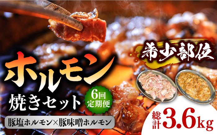 【6回 定期便 】ホルモン 塩焼き・ニンニク味噌焼きセット 総計3.6kg / 肉 豚肉 直腸 豚テッポウ 希少部位 国産 / 南島原市 / はなぶさ [SCN138]