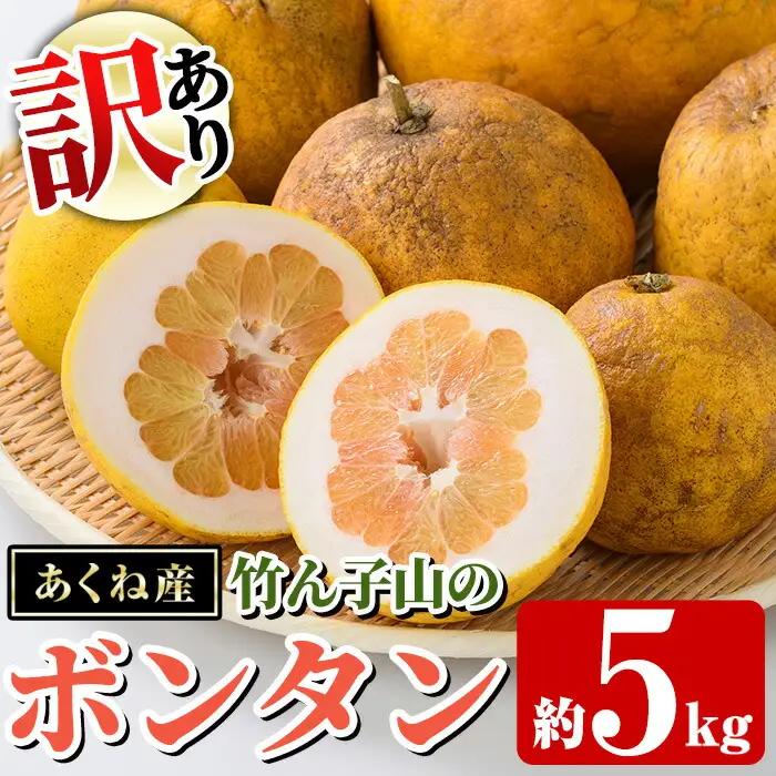 ＜先行予約受付中！2027年1月上旬以降順次発送予定＞訳あり！竹ん子山のボンタン(約5kg) 国産 鹿児島県産 阿久根産 柑橘 果物 フルーツ ぼんたん 文旦 訳アリ 果実 期間限定 数量限定 【竹ん子山】akn097-15