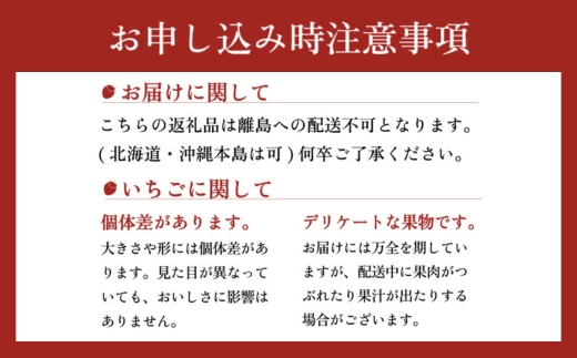 【先行予約】とちおとめ320g×2パック 3Lサイズ いちご 苺 イチゴ フルーツ 果物 国産 平積み ※2025年1月中旬頃より順次発送予定