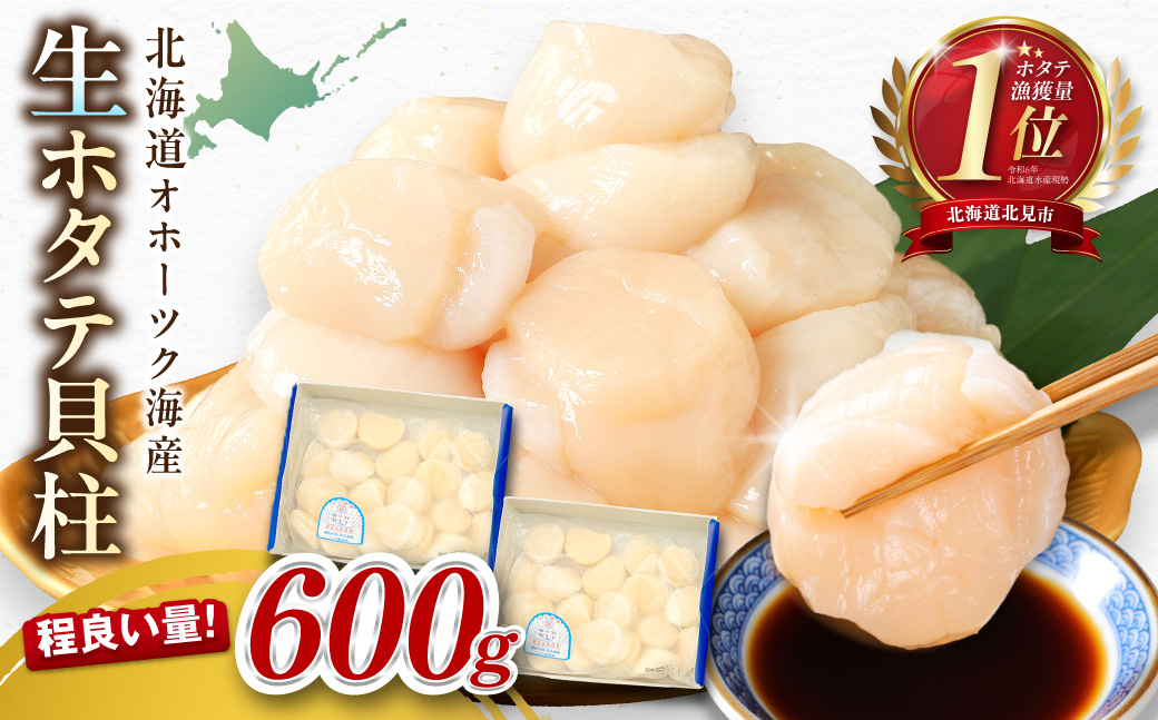 【予約：2026年10月から順次発送】北海道オホーツク海産 ホタテ貝柱 600g 生食用 ( 海鮮 魚介 魚介類 貝 ほたて 刺身 貝柱 海鮮丼 贈答 ギフト 小分け 帆立貝柱 人気 ふるさと納税 ホタテ )【239-0003】