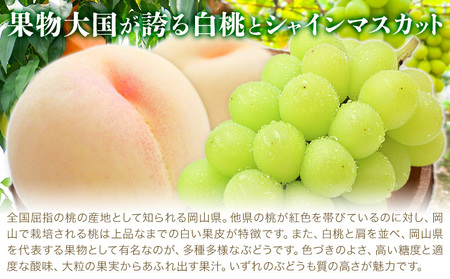 【2027年発送先行予約】【2か月定期】岡山の 白桃 と シャインマスカット 計4kg【配送不可地域あり】