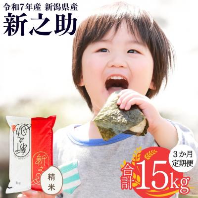 ふるさと納税 三条市 [定期便5kg×3か月] 新潟県産 新之助 計15kg [株式会社白熊] 【030S045】
