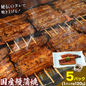 鰻 国産鰻蒲焼 5パック 約 120g ×5 有限会社安井家