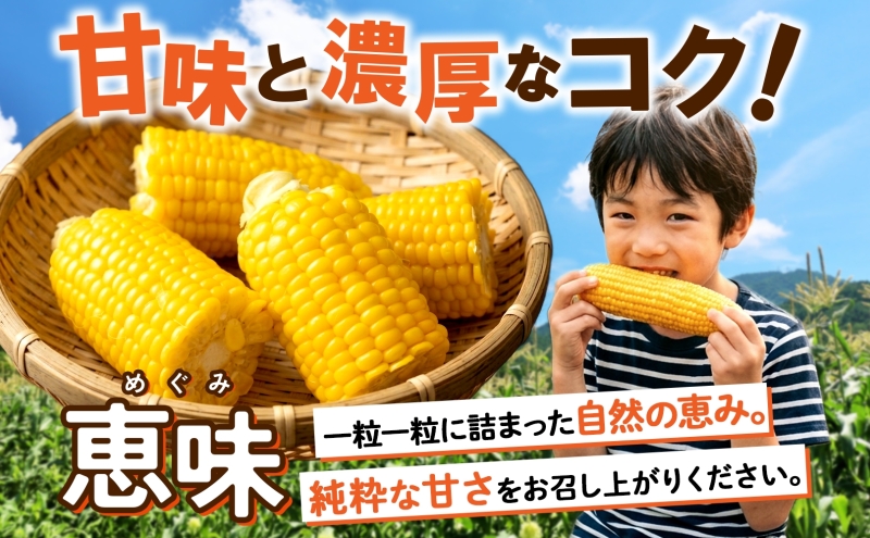 朝もぎ イエロー とうもろこし 恵味 2Lサイズ 26本 約10kg 大きめ 夏野菜 とうきび 旬 新鮮 野菜 トウモロコシ 甘い ギフト 産地直送 コーン 産直 グリーンアースファーム 送料無料 北
