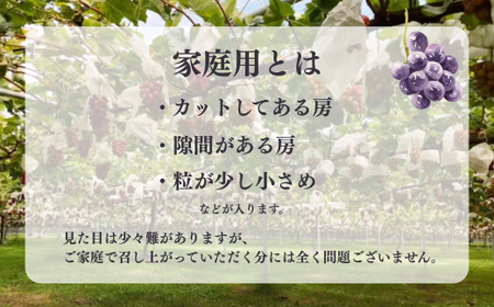 TK37-26A 【先行予約】【家庭用】 ぶどう2種セット （ナガノパープル・クイーンルージュ®） 約2kg ／ 2026年9月中旬～10月中旬頃 配送予定 // 長野県 南信州 種なし 葡萄 セット