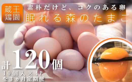 
【３か月連続お届け】眠れる森のたまご40個　　朝採れ卵40個　【04301-0325】
