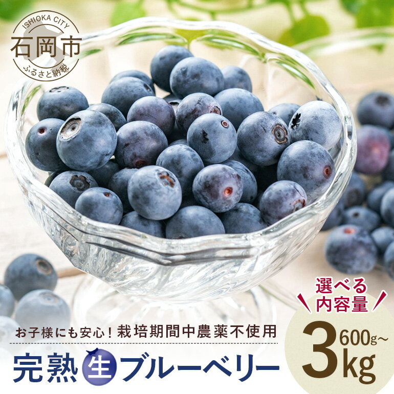 【ふるさと納税】【 2026年 先行予約 】元気に育った ブルーベリー 選べる 600g 1.2kg 1.5kg 3kg 農薬 栽培期間中 不使用 果物 フルーツ 新鮮 手摘み 国産 産地直送 農家直送 産直 個包装 小分け くだもの スムージー ジャム ヨーグルト デザート 茨城 茨城県 石岡市
