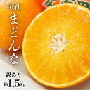 【ふるさと納税】 【イチオシ】 先行受付 訳あり 宝紅まどんな 1.5kg サイズミックス 傷 黒点 果物 柑橘 みかん 愛果28号 人気 フルーツ 果実 高級 柑橘 マドンナ 訳アリ 宝紅マドンナ 10,000円 愛媛県 愛南町 吉本農園 配送期間 12月 (クラウドファンディング対象)