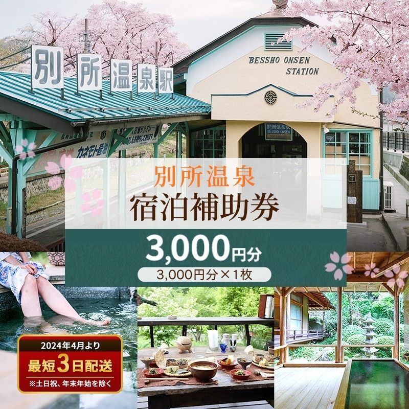 宿泊券 長野 別所温泉 3000円 ギフト券 券 チケット クーポン 旅行 観光 宿泊