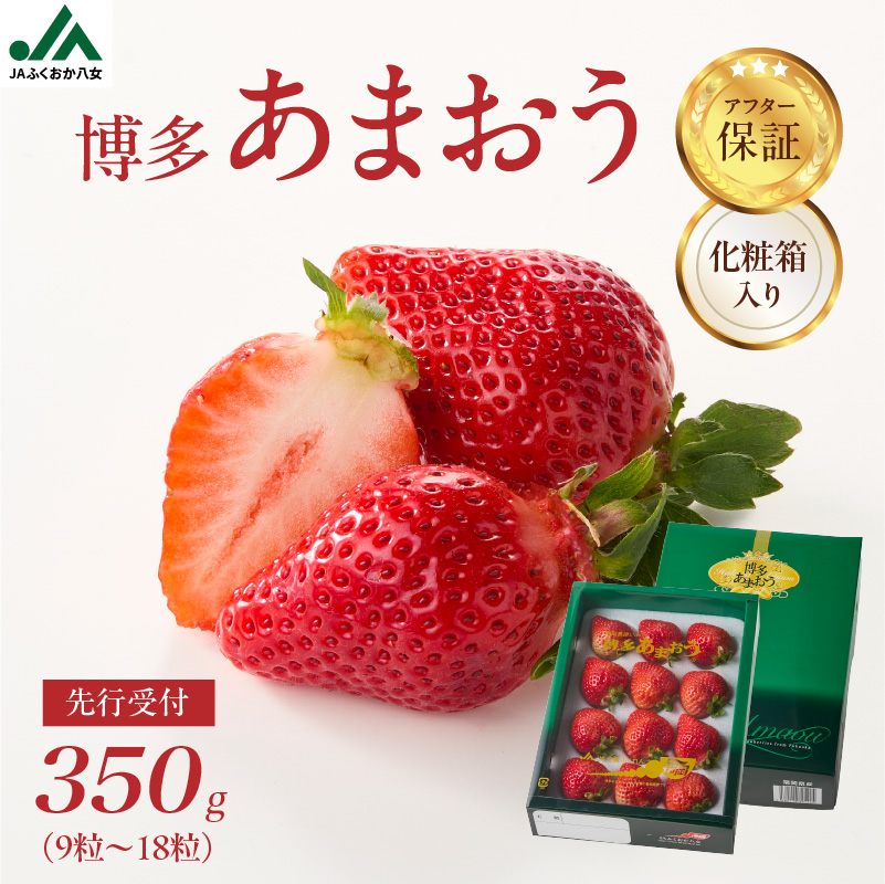 【2025年12月発送開始】博多あまおう350g（化粧箱）｜ＪＡふくおか八女 あまおう いちご 苺 イチゴ フルーツ 果物 くだもの 人気  旬 福岡県産 アフター補償 ギフト 化粧箱入り 贈答品 プレゼント 贈り物 数量限定 期間限定 産地直送 デラックス 福岡県 八女市
