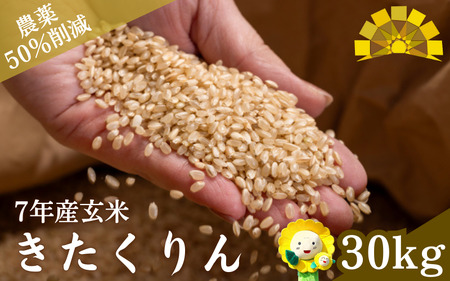 玄米 きたくりん 新米 30kg / ごはん こめ 米 お米 北海道 北海道米 【kja400-kita-g30-R7】