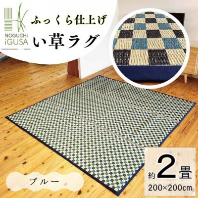 ふるさと納税 柳川市 ふっくら仕上げ　い草ラグ《チェック柄×ブルー》 200cm×200cm