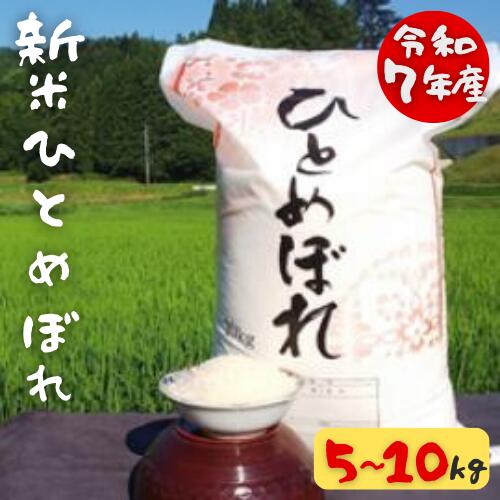 【ふるさと納税】《 新米先行予約 》令和7年産 新米 大自然で育てた ひとめぼれ 5kg・10kg 選べる内容量 米 白米 精米 ご飯 ごはん コメ こめ 岩手県 一関市