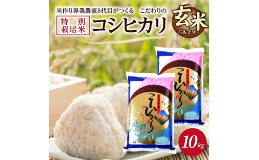 玄米 特別栽培米 コシヒカリ 計10kg 5kg×2袋 令和8年産米 新米予約 山形県産 米 庄内米 ごはん ご飯 農家直送 東北 山形県 酒田市 庄内 加藤農園 KA　SC0673