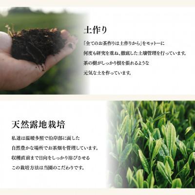 ふるさと納税 川南町 お茶の大塚園プレミアムセット(緑茶TB、タグ付緑茶TB、ほうじ茶TB、玄米茶TB、特上煎茶、上白折) |  | 02