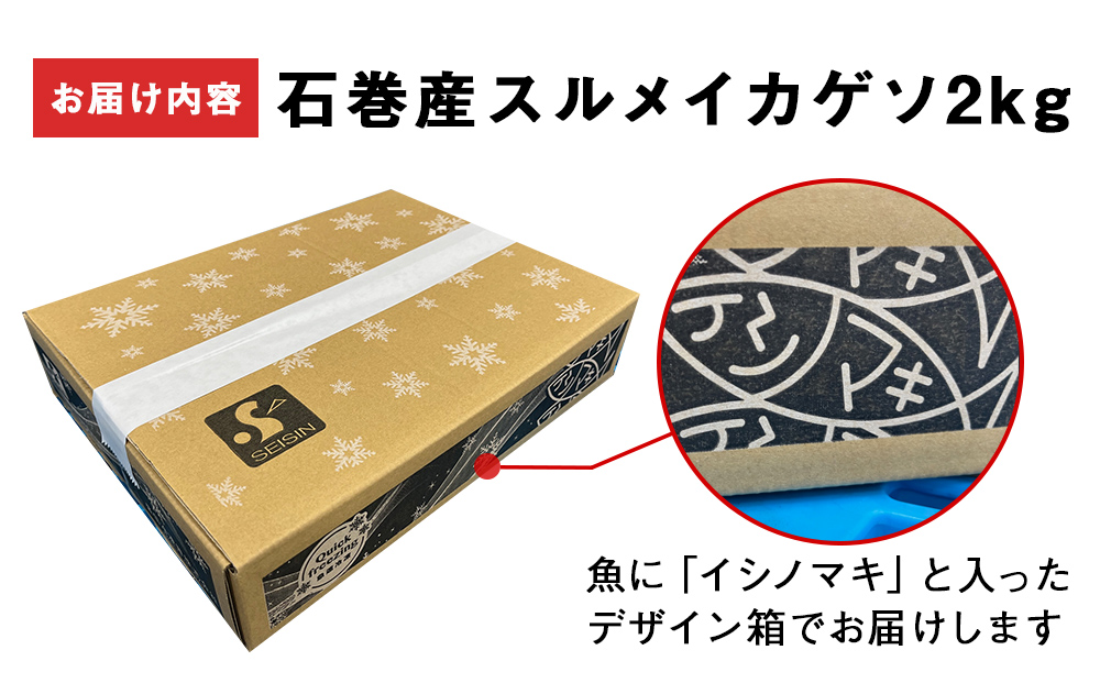 〈 訳あり 〉スルメイカ ゲソ 石巻産 (2kg) いかげそ イカゲ
