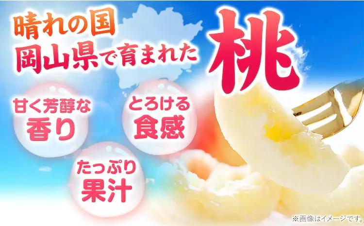 【2027年発送】岡山の桃 約1.3kg 　白桃