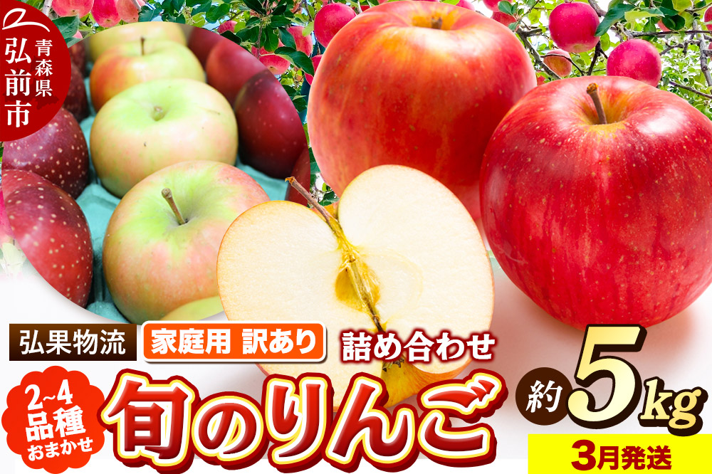 【26年3月発送】りんご 家庭用 訳あり 旬のりんご 品種おまかせ 約5kg 2品種〜4品種