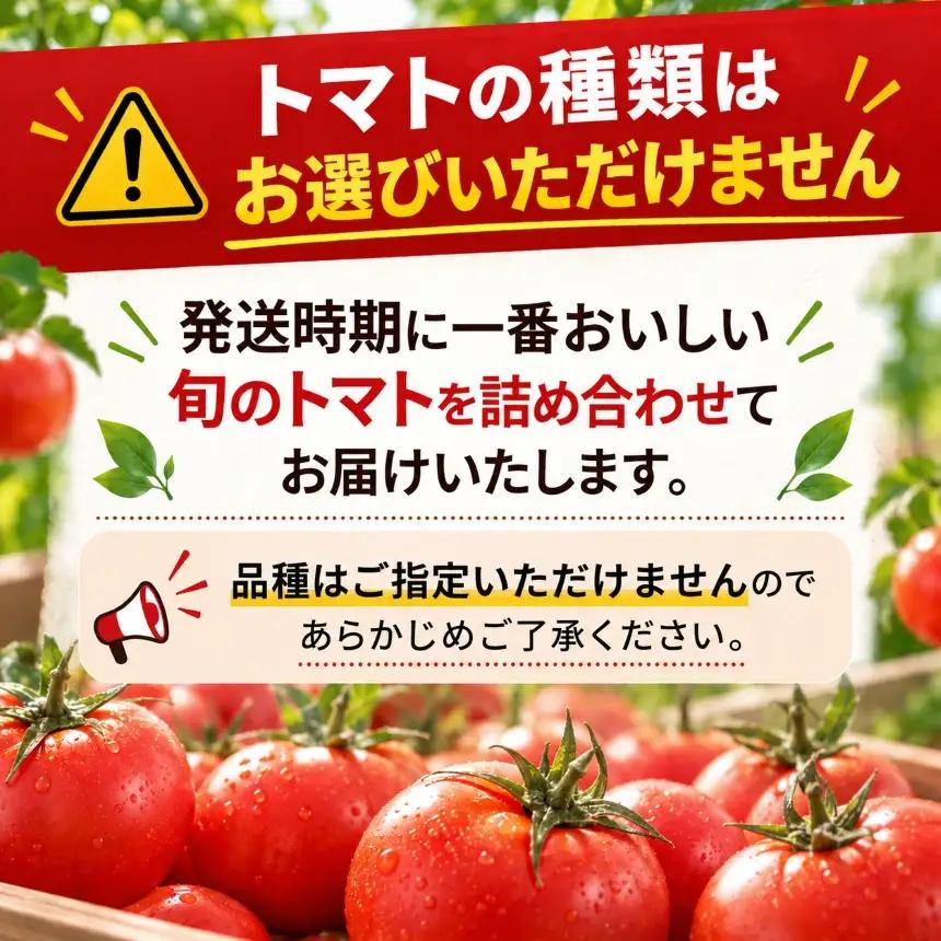 農家直送 旬のトマト おまかせ3種  約3kg 