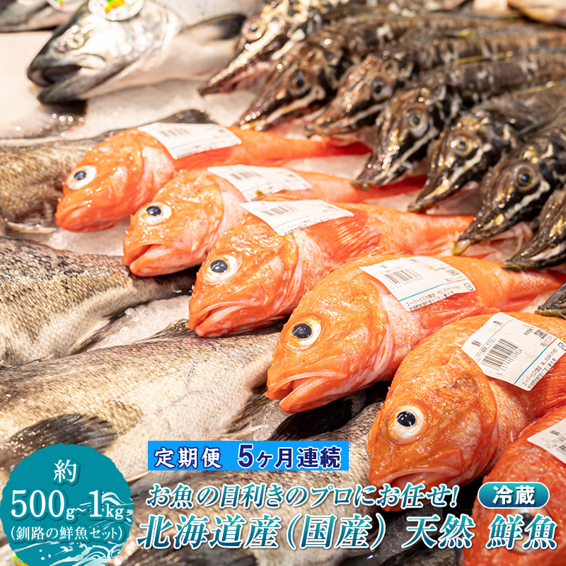 【定期便 5ケ月連続】プロ厳選 北海道産 天然 鮮魚セット ＜冷蔵＞ 500g～1kg ｜ 鮮魚ボックス 詰め合わせ 鮮魚 生食 刺身 下処理 切り身 北海道 釧路町 釧路超 特産品