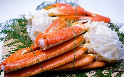 
                  ボイルズワイ蟹 2肩 800g  | カニ かに 蟹 冷凍 魚介 海鮮 大阪府 泉大津市 [2921]
                
