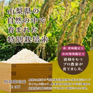 【令和5年度】こぴっと米【極】4kg大粒厳選・１等特別栽培米100％
