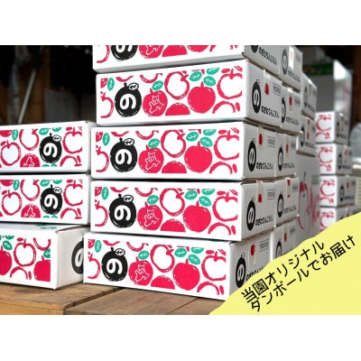 (2026年産予約)【青森市産・5品種詰め合わせ】約3kg(家庭用)【配送不可地域：離島・沖縄県】