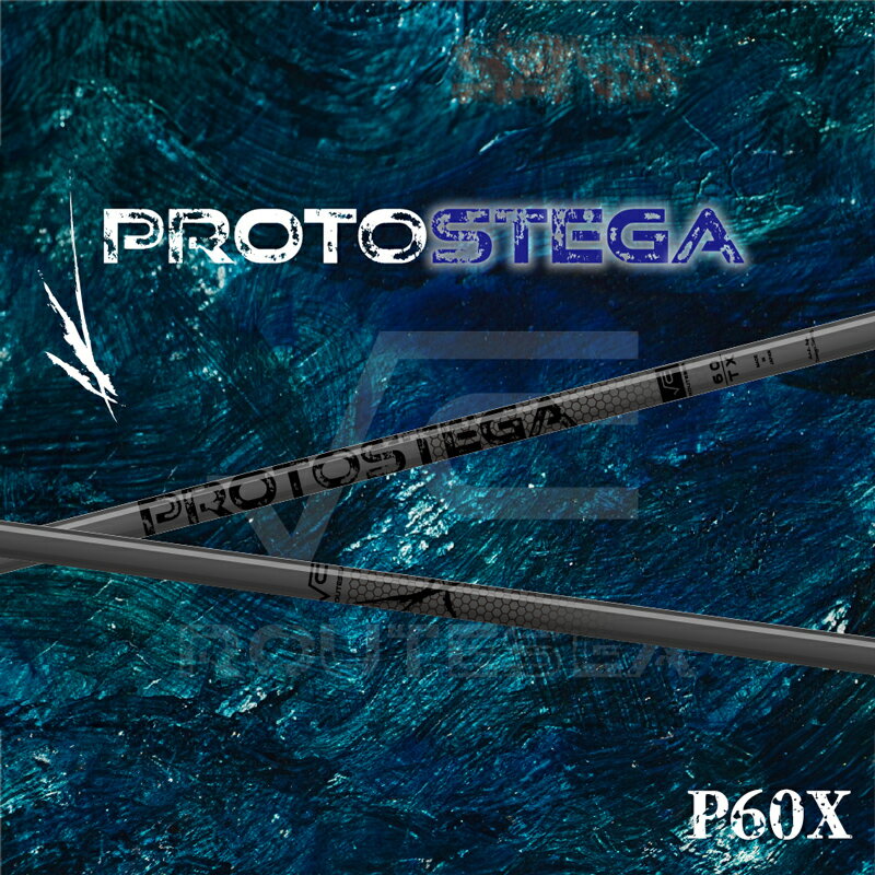 【ふるさと納税】PROTOSTEGA プロトステガ BlackOut 60X [0414]