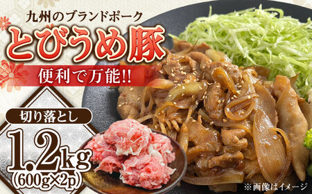 大分県日田市産 とびうめ豚 切り落とし 1.2kg 日田市 / 株式会社中津留[ARCM004]