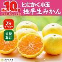 【ふるさと納税】小玉みかん 極早生 箱込 10kg (内容量約 9.2kg) 2Sサイズ以下 秀品 優品 混合 有田みかん 和歌山県産 【みかんの会】　