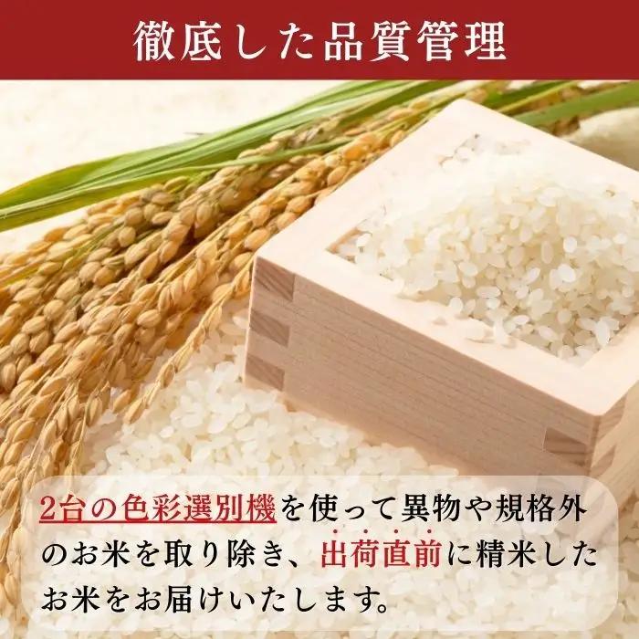 コシヒカリ 20kg【豊米】コシヒカリ 長野県 飯山市_7-54B