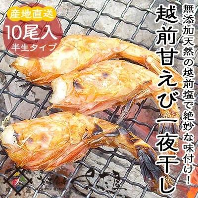 ふるさと納税 越前町 越前　甘えび一夜干し　H24年大日本水産会会長賞受賞 |  | 01