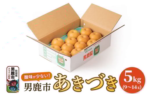 【令和7年度 早期受付】あきづき 5kg 9～14玉 梨 なし ナシ 秋田県 男鹿市 旬の果物 フルーツ
