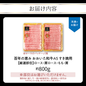 A01100　百年の恵み　おおいた和牛A5　すき焼用【厳選部位】約800ｇ